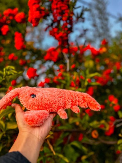 Floppy Lobster